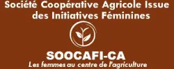 SOCIETE COOPERATIVE AGRICOLE ISSUE DES INITIATIVES FEMININES -SOOCAFI-